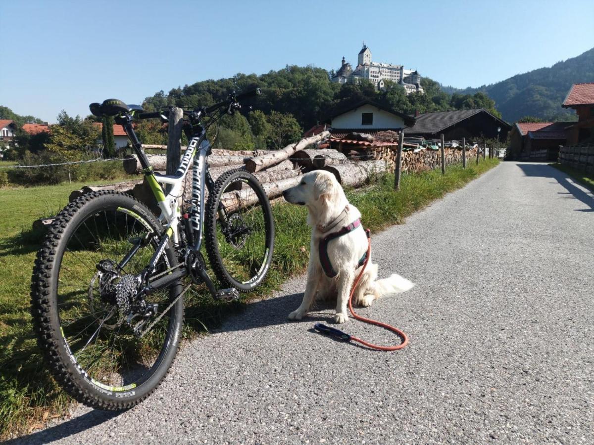 Ferienwohnung Ciao-Aschau Haus Zur Burg Apn21 Kraemer Aschau im Chiemgau Exterior foto